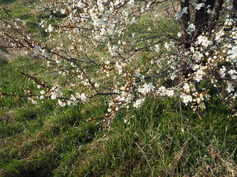 Similar image 21406292