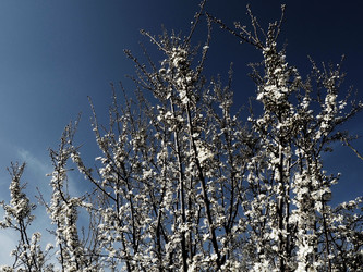 Similar image 21406293