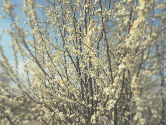 Similar image 21406294