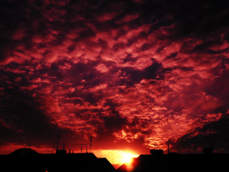 Similar image 21406295