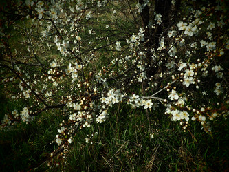 Similar image 21406296