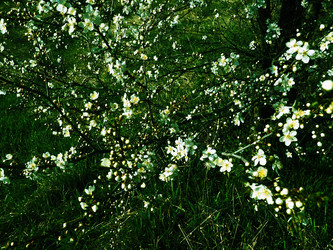 Similar image 21406298