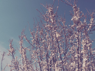 Similar image 21406299