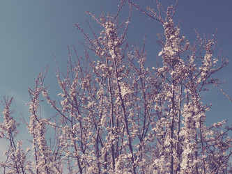 Similar image 21415592