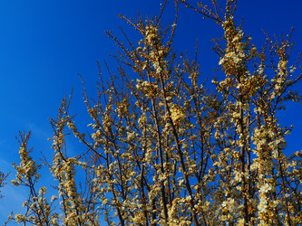 Similar image 21415593