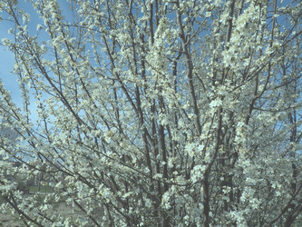 Similar image 21415594