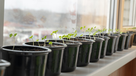 Similar image 21425545