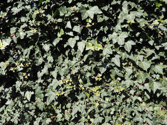 Similar image 21415597