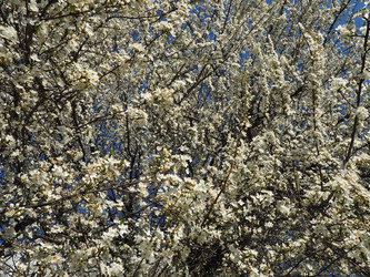 Similar image 21415600