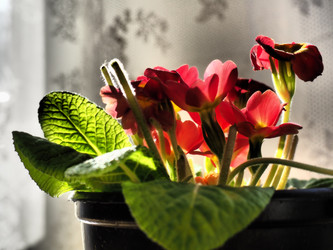 Similar image 21415601