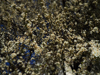 Similar image 21416148