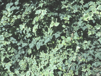 Similar image 21416288