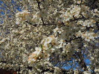 Similar image 21417213