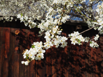 Similar image 21417465