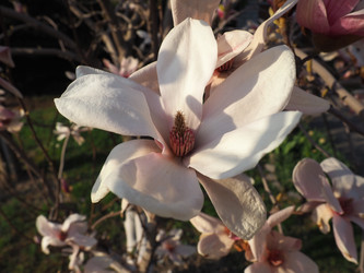 Similar image 21418030