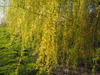 Similar image 21418297