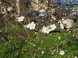 Similar image 21418298