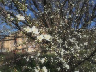 Similar image 21404263