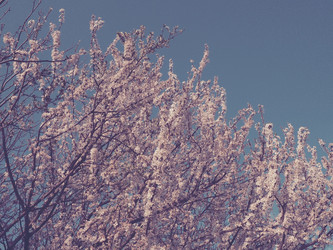 Similar image 21404264