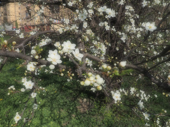 Similar image 21404265