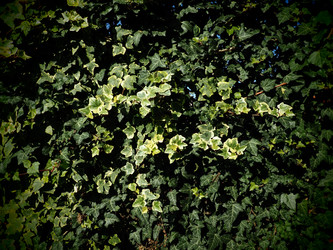 Similar image 21404266