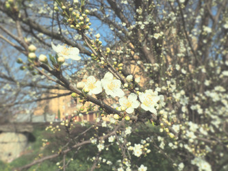 Similar image 21404445