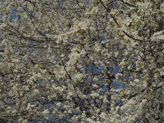 Similar image 21404446