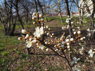 Similar image 21404447