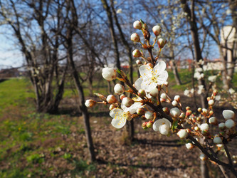 Similar image 21405212