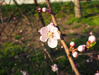 Similar image 21405405