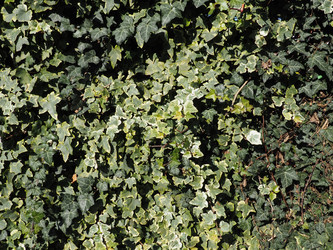 Similar image 21405408