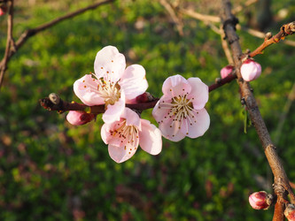 Similar image 21405410