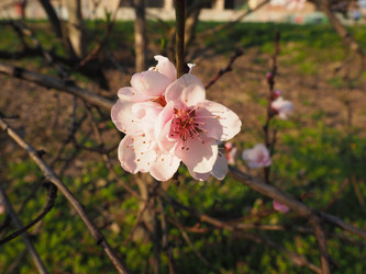 Similar image 21405411