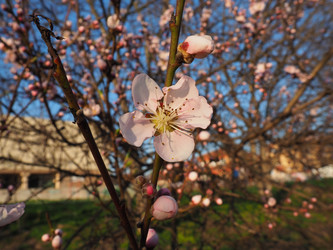 Similar image 21405412