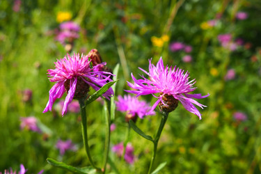 Similar image 21404267