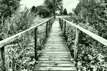 Similar image 21405706