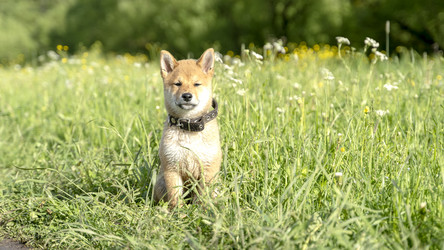 Similar image 21424747