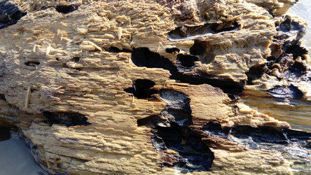 Similar image 21417468