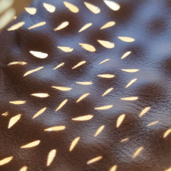 Similar image 21418042