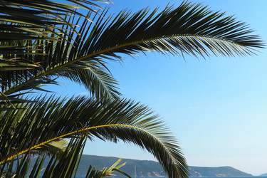 Similar image 21406310