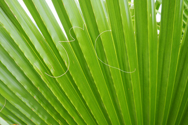 Similar image 21415628