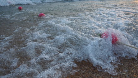 Similar image 21405884