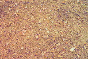 Similar image 21405887