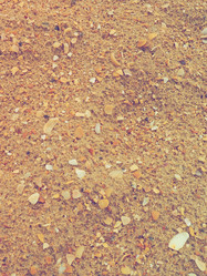 Similar image 21405888