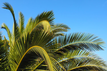 Similar image 21416795