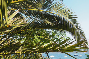 Similar image 21416796