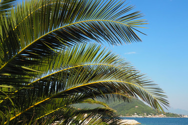 Similar image 21416797