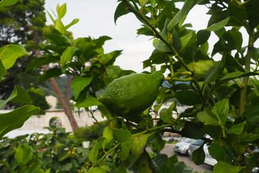 Similar image 21406319