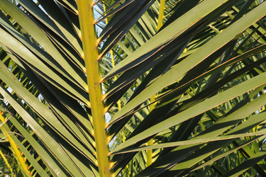 Similar image 21417216