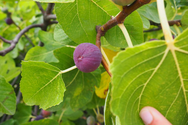 Similar image 21417475